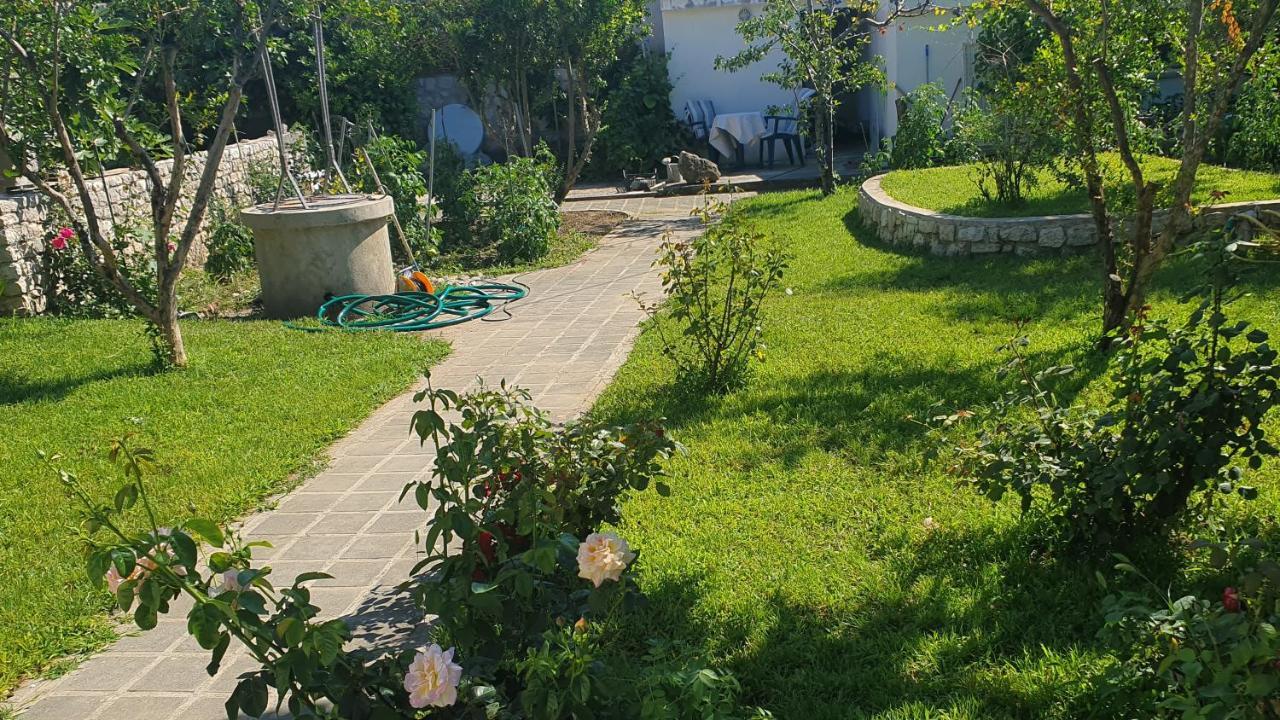 Apartments And Rooms With Parking Space Nin, Zadar - 5805 Exterior foto